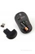 Logitech B175 Wireless Mouse(USB) Logitech B175 Wireless Mouse(USB)